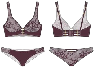 Burgundy Silk Lace Set Design